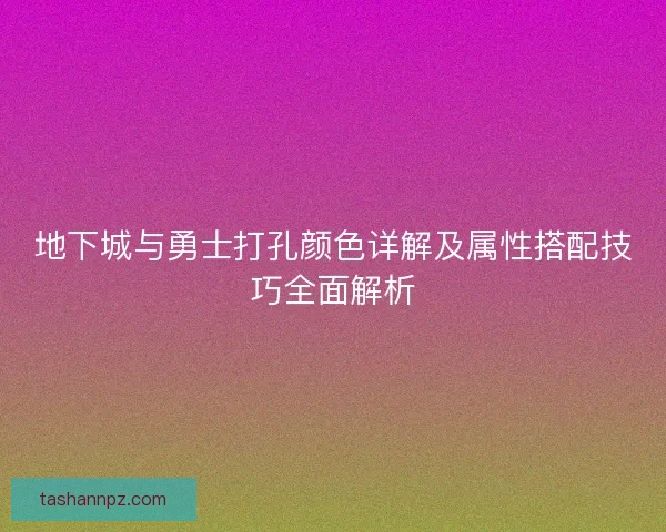 地下城与勇士打孔颜色详解及属性搭配技巧全面解析
