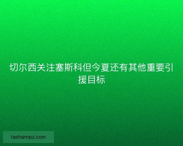 切尔西关注塞斯科但今夏还有其他重要引援目标